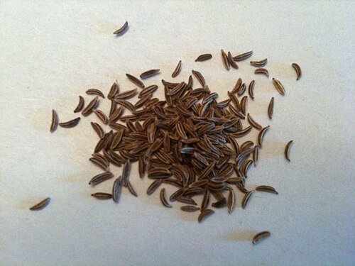 Caraway seeds