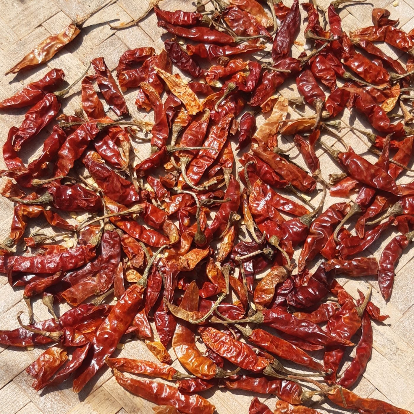 Dried red chillies
