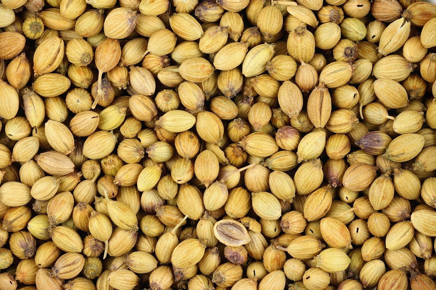 Coriander seeds