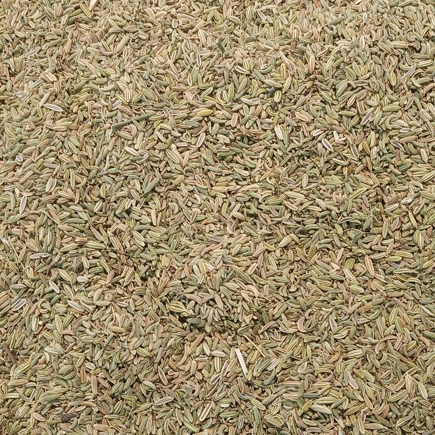 Cumin seeds