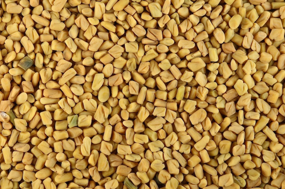 Fenugreek seeds