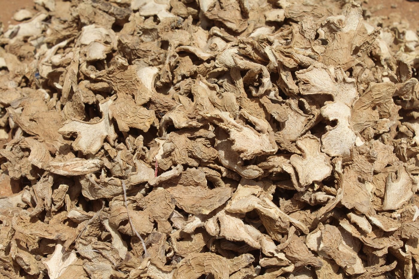 Dried ginger
