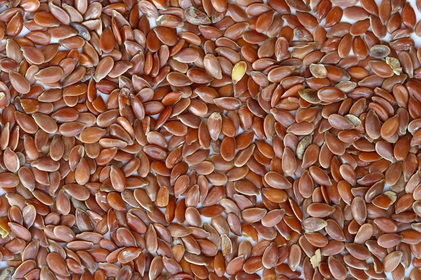 Linseed (flaxseed)