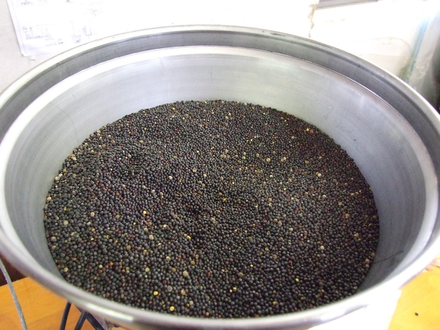 Rapeseed