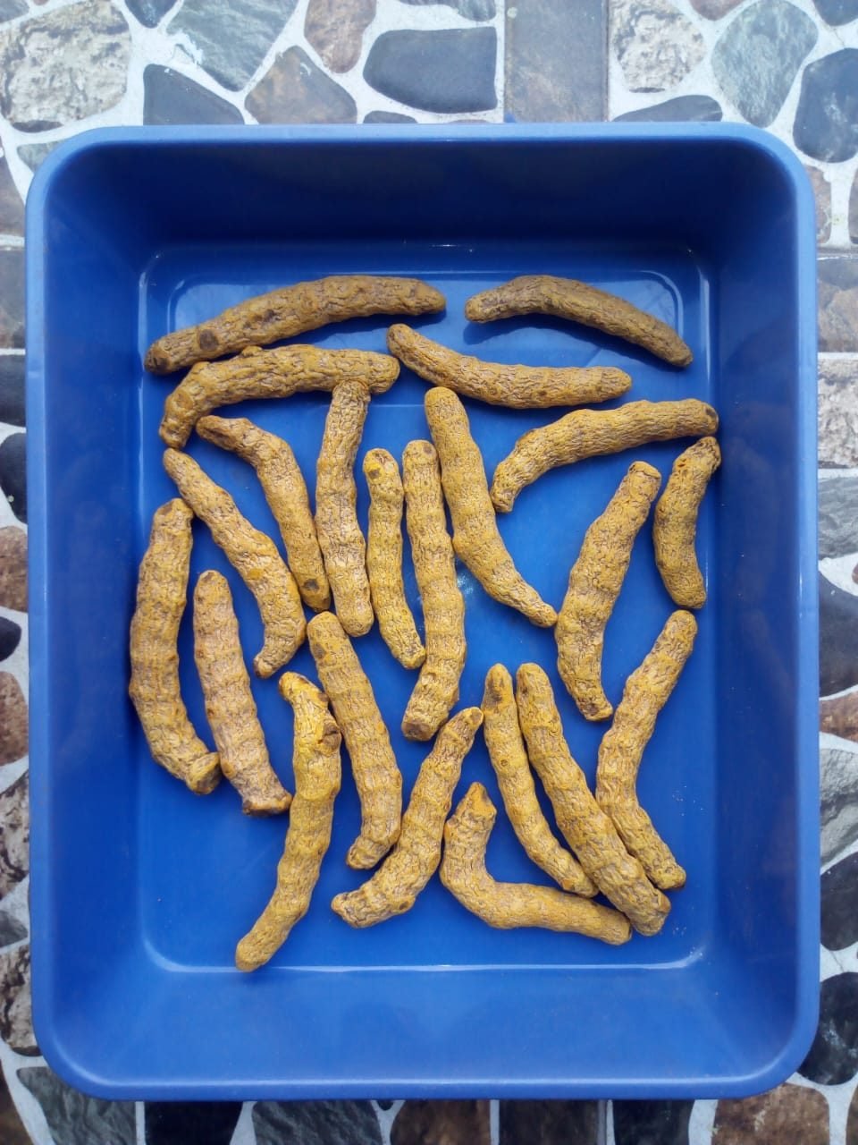 Dried turmeric rhizomes
